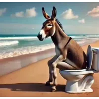 オスリット・ナスリットのサムネイル