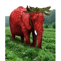 ストロベリー・エレファントのサムネイル