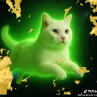 ガッタティーノ・ネオニーノ